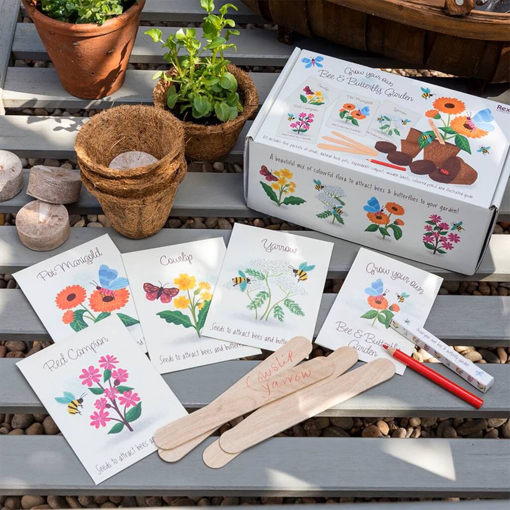 Flower Growing Kit Bee And Butterfly, 1 of 3