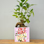 'Best Mum Ever' Mother's Day Plant Pot And Houseplant, thumbnail 1 of 7