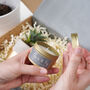 Real Potted Succulent And Soy Handmade Candle Gift Set, thumbnail 2 of 4