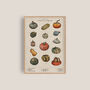 Pumpkin And Squash Artwork Print, thumbnail 1 of 8