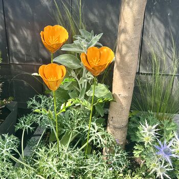 Californian Poppy Sculptures Set Of Three, 2 of 4