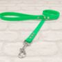 Waterproof Dog Collar And Lead Set Neon Green, thumbnail 3 of 3