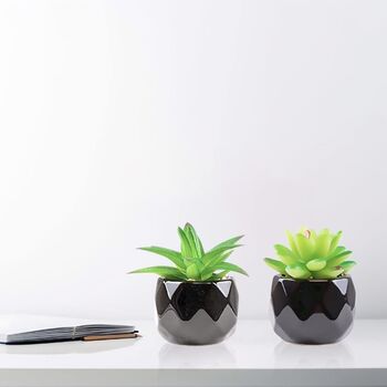 Four Mini Artificial Fake Succulents Plants In Pots, 2 of 7