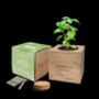 Personalised Basil Desktop Cube Garden, thumbnail 6 of 6