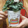 Pet Loss Gift ''Over The Rainbow Bridge' Plant Pot, thumbnail 2 of 3