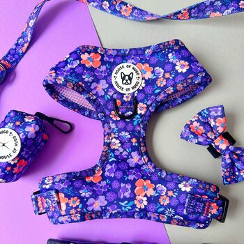 Ditsy Floral Adjustable Padded Dog Harness, 8 of 11