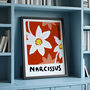 December Narcissus Birth Flower Print, thumbnail 2 of 3