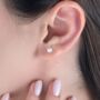 9ct Solid Gold Freshwater Pearl Stud Earrings, thumbnail 1 of 2