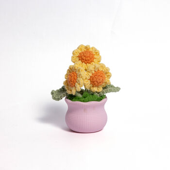 Joyful Daisy And Tulip Crochet Plant Pot Collection, 2 of 7