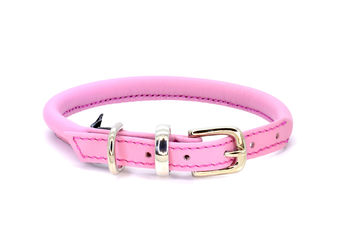 Luxury Soft Rolled Leather Dog Collar, 7 of 12