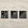 Collection Of Three Monochrome Dried Flower Art Prints, thumbnail 1 of 9