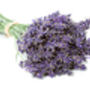 Dried Lavender Bunch, thumbnail 2 of 2