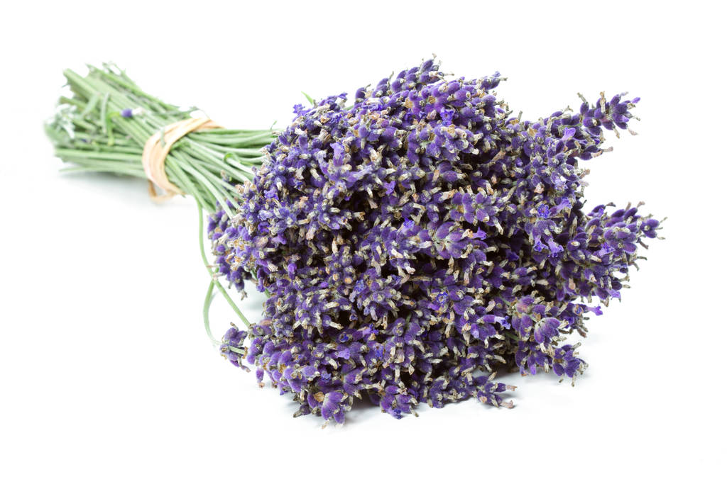 Dried English Lavender Vibrant Purple Bunches - Set of 2