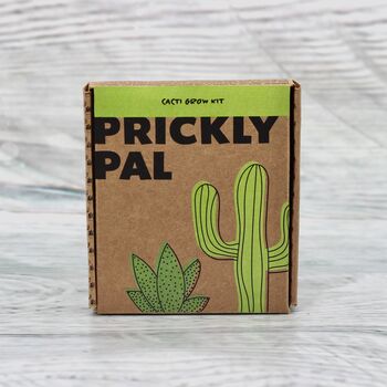 Prickly Pal Cactus Grow Pot Kit, 3 of 9