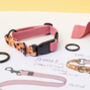 Pink Orange Terrazzo • Padded Dog Collar, thumbnail 7 of 7