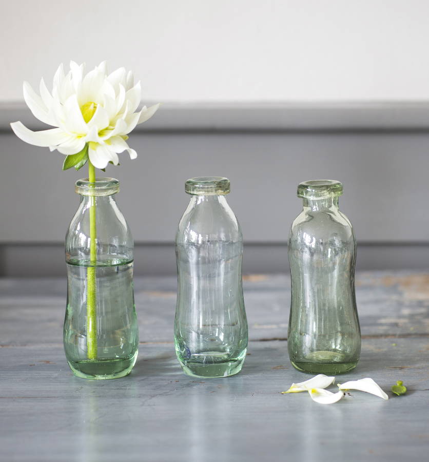 set of three glass bottle vases by the forest & co