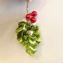 Christmas Glass Holly Bunch Decoration, thumbnail 1 of 3
