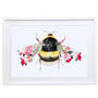 Bumble Bee Wildlife Botanical Art Print, thumbnail 4 of 5