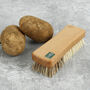 Sustainable Wood Vegetable Brush With Plant Bristles, thumbnail 1 of 8