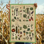 Seasonal Fruit And Vegetable Tea Towel, thumbnail 1 of 8