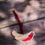 Embossed Tin Robin Hanging Ornament, thumbnail 2 of 3