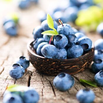 Fruit Plant Blueberry Brigitta One In Two Litre Pot, 4 of 5