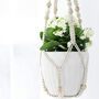 Macrame Plant Hangers With Wood Beads, thumbnail 5 of 6