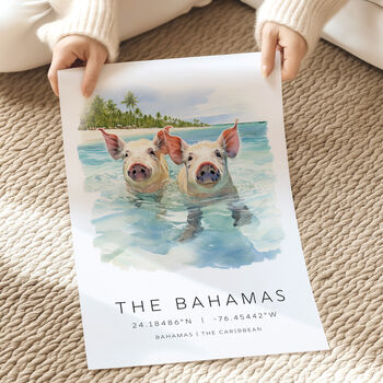 Destination Travel Landmark Cards For Pig Island Bahamas, 3 of 7