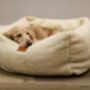 Teddy Bear Dog Box Beds, thumbnail 1 of 6