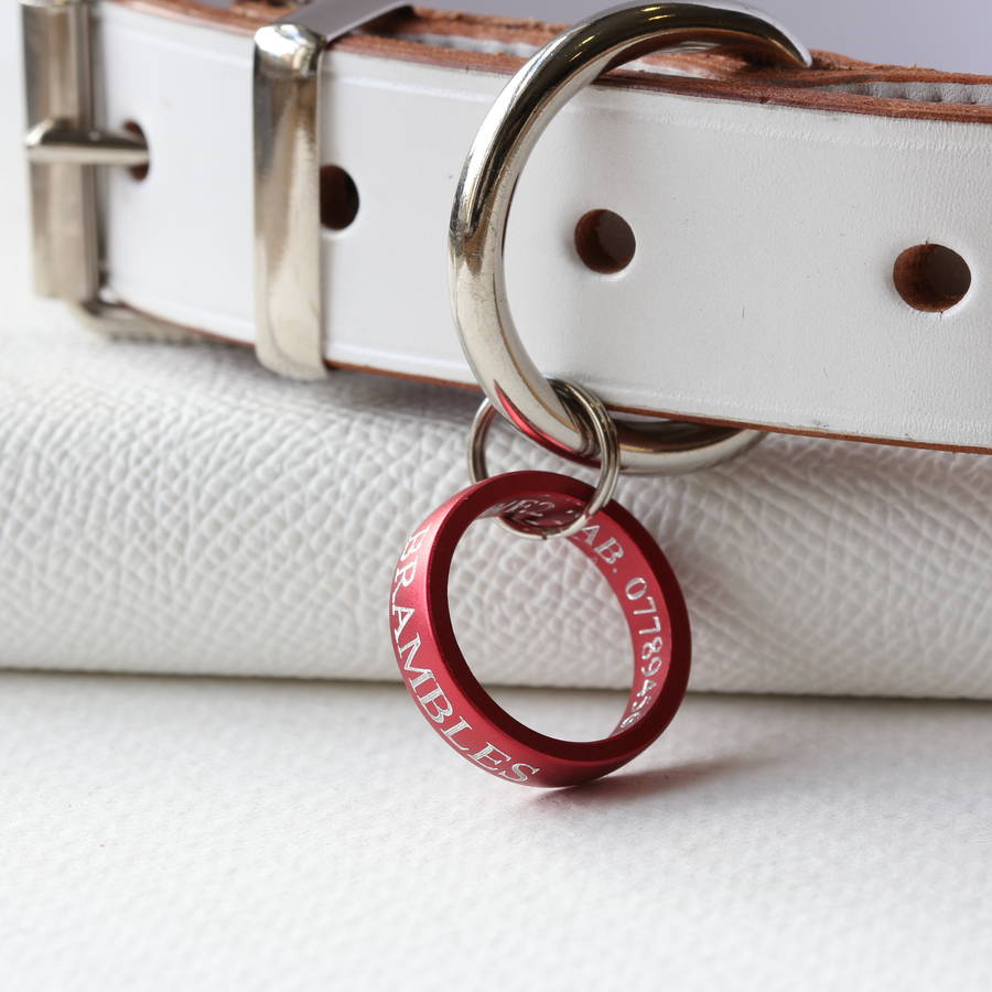 pet name ring