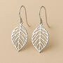 Sterling Silver Open Oak Leaf Drop Hook Earrings, thumbnail 1 of 6