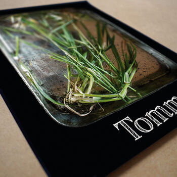 Personalised Grasses | Little Things In Tins Nature Study Print, 3 of 3