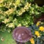 Freestanding Cast Iron Bird Bath – Metal Garden Feature, thumbnail 5 of 10