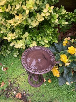 Freestanding Cast Iron Bird Bath – Metal Garden Feature, 5 of 10
