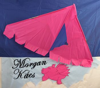 Morgan Kites Clasic Delta Kite, 3 of 6