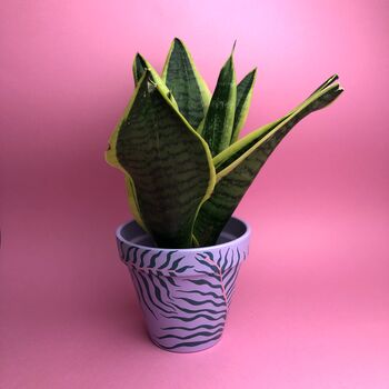 Palm Print Hand Painted Plant Pot, 3 of 7