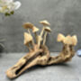 20cm Hand Carved Wooden Mushroom Figurine Coffee Root Wood, thumbnail 8 of 12