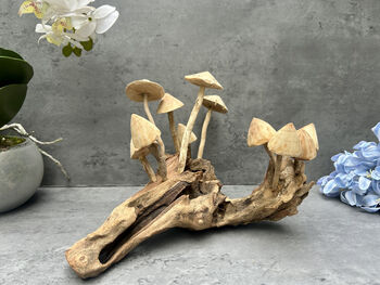 20cm Hand Carved Wooden Mushroom Figurine Coffee Root Wood, 8 of 12