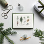 ‘Christmas Traditions’ Hand Illustrated Card/Set, thumbnail 1 of 3