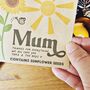 Personalised Sending You Sunshine Sunflower Seed Packet, thumbnail 2 of 3