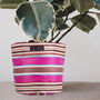 Striped Recycled House Plant Pot Covers Three Sizes, thumbnail 5 of 12