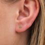3mm Sterling Silver Peridot Green Crystal Stud Earrings, thumbnail 2 of 3