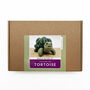 Needle Felting Kit Tortoise, thumbnail 10 of 10