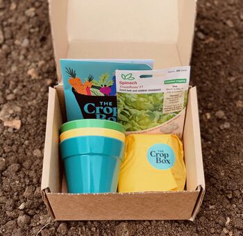 Grow Your Own Spinach Kit For Children, 4 of 4