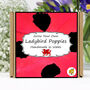 Gardening Gift. Ladybird Poppy Growing Kit, thumbnail 1 of 6