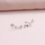 Sterling Silver Four Stars Ear Studs, thumbnail 3 of 5
