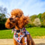 Enchanted Meadows Floral Dog Collar, thumbnail 3 of 7
