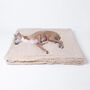 Sherpa Fleece Dog Blanket, thumbnail 6 of 10