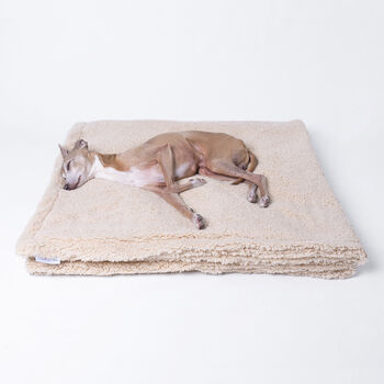 Sherpa Fleece Dog Blanket, 6 of 10