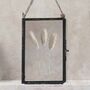 Vintage Pressed Flower Frame: Small Dried Bunny Tails, thumbnail 3 of 7